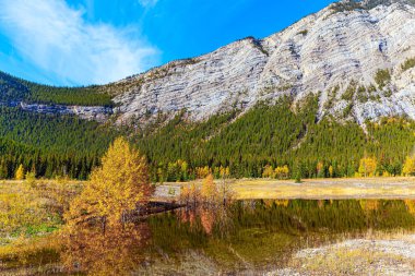 Canadia 'da. Rocky Dağları, resimli Abraham Gölü 'nün yumuşak sularına yansımaktadır. Ekim 'in güneşli günü.  