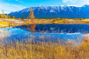 Abraham Gölü 'nün güzel mavi sularıyla Kuzey Saskatchewan Nehri' nin tıkanması sonucu yükseldi. Ekim ayının güneşli bir günü. Sihirli Rocky Dağlarına Yolculuk. 