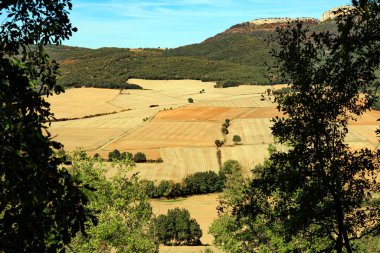 Rural fields after harvest. Road between village fields. Basque country, province of Guipuzcoa, Spain. Lush colors of autumn