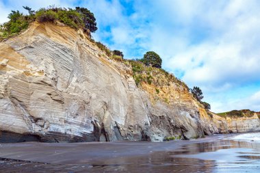 Low tide in the Pacific Ocean. Sheer White Cliffs of the Pacific coast of northern Taranaki. Thin layer of water on smooth sand reflects the sky. The New Zealand. Journey to the End of the Earth