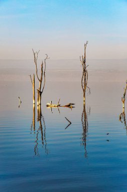 The magnificent Geyerlei is the longest suspension cable bridge in Germany. Hunsrck region in Rhineland-Palatinate. Windy and cold autumn day