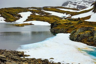 Cold July in Northern Europe. Gorgeous 