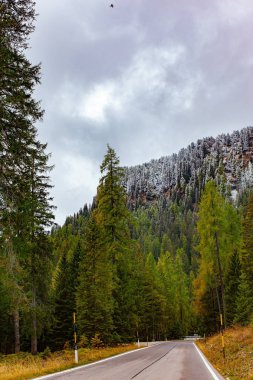 Road in snowy mountains. Passo Rolle. The famous picturesque pass in the Dolomites. Autumn trip to the Italian Alps. Evergreen spruces and pines are covered with the first snow. Italy.