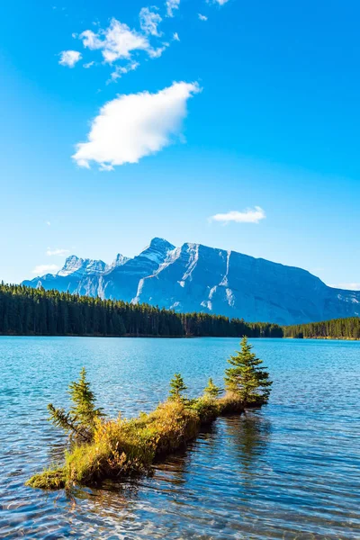 Two Jack Lake. Small island in shallow water. The famous Rocky Mountains in Canada. Autumn Indian Summer. Huge glacial lake reflects the sun.