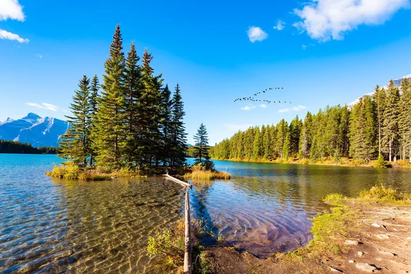 Small picturesque island off the coast is overgrown with pine trees.  The famous Rocky Mountains, Two Jack Lake. Huge glacial lake reflects the sun and clouds. Travel to Canada.