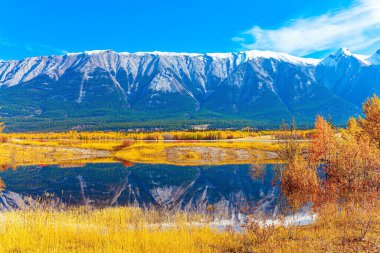Gorgeous Canadian autumn. Picturesque Abraham Lake with blue water. Journey to the Magical Rocky Mountains. 