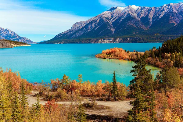 This artificial Abraham lake. Canadian autumn at Abraham Lake. Picturesque multicolor autumn landscape. Rocky Mountains of Canada