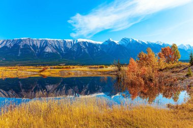This Abraham Lake with blue water, was formed as a result of the construction of the Bighorn Dam. Gorgeous Canadian autumn. Journey to the Magical Rocky Mountains. 