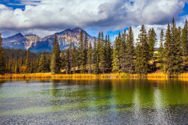Small round lake with cold green water. The Rocky Mountains of Canada. Indian summer. Jasper Park. Coniferous forest and bright yellowed autumn grass reflected in the water