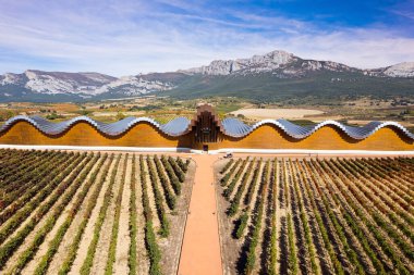 Kuş bakışı. Bodegas Ysios şaraphanesi ve sıra sıra üzüm bağları. Laguardia, İspanya. Bodegas Ysios 'un mimarisi çevresindeki güzel manzarayla çok güzel uyum sağlar.