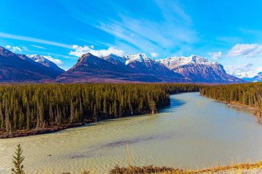  Kanada 'nın Rocky Dağları. Kar ve buzullarla kaplı dağ zirveleri. Bu yapay Abraham gölü. Resimli çok renkli sonbahar manzarası. 