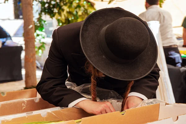 Siyah Şapkalı Ortodoks Yahudi Sukkot Bayramı Için Ayin Bitkilerini Seçiyor — Stok fotoğraf