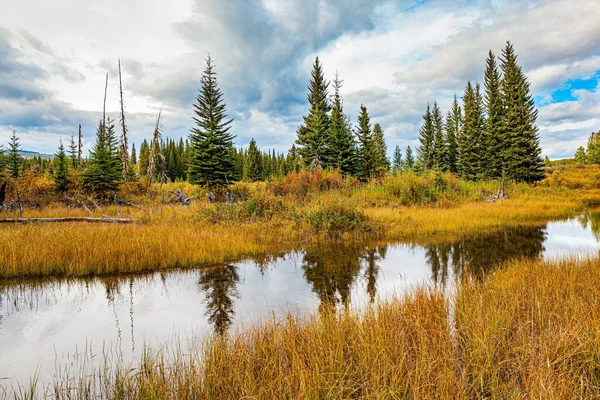 Autumn Trip West Canada Tall Grass Turned Yellow Smooth Lake — Stockfoto