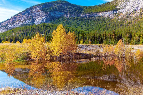 秋天树木的黄色和橙色的叶子反映在亚伯拉罕湖水的平缓中 风景如画的亚伯拉罕湖 华丽的加拿大秋天 — 图库照片