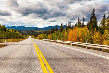 Alaska yolu. Alçak fırtına bulutları gökyüzünü kaplıyor. Muhteşem otoyol Pan-Amerikan otoyolunun bir parçasıdır. Kanada 'nın batısına sonbahar gezisi. 