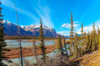 Karla kaplı dağ zirveleri ve buzullar. Bu yapay Abraham gölü. Kanada 'nın Rocky Dağları. Resimli çok renkli sonbahar manzarası. 