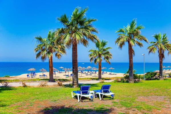 stock image Cozy beach on the Mediterranean coast. Round beach umbrellas and tall, slender palm trees give shade to the sun loungers. Family holidays in the Greek island of Cyprus. 