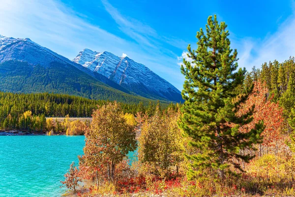 Rocky Mountains Canada Gorgeous Turquoise Color Glacial Lake Water Canadian — Stock Photo, Image