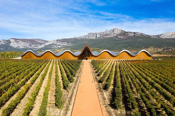 stock image  Bird's eye view.  Bodegas Ysios winery and rows of vineyards. Laguardia, Spain. The architecture of Bodegas Ysios blends with the surrounding landscape. Incredibly beautiful landscape.