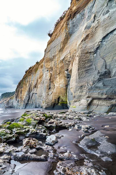 沙子上的石头被苔藓覆盖着 塔拉纳基北部太平洋海岸的谢尔白崖新西兰北岛的壮丽自然 海洋中的低潮 — 图库照片