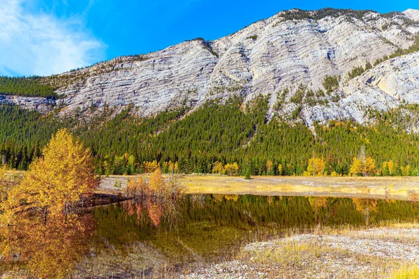 Zonnige Dag Oktober Een Canadia Herfstbomen Rocky Mountains Worden Weerspiegeld — Stockfoto