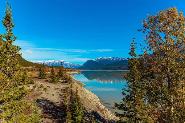 カナダのロッキー山脈 鬱蒼とした常緑樹林が湖を囲んでいる 山のピーク雪や氷河で覆われた この人工的なアブラハムの湖 — ストック写真