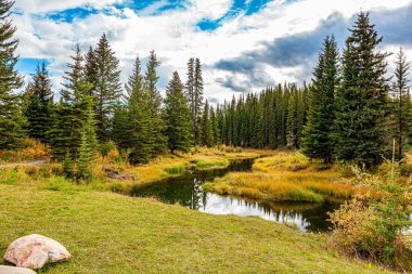 Ladin ormanının kenarında. Sığ göl her daim yeşil bir ormanla çevrilidir. Kanada 'nın batısına sonbahar gezisi. Serin bir sonbahar günü