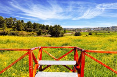 İsrail 'in merkezindeki yeşil orman Ben Shadi. Glades 'in etrafı kırmızı parmaklıklarla çevrili. Orman ormanlarında kolza bal bitkisinin güzel sarı çiçekleri. 