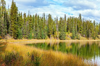 Yumuşak göl yüzeyi bulutlu gökyüzünü ve ince köknar ağaçlarını yansıtır. Sığ göl her daim yeşil bir ormanla çevrilidir. Kanada 'nın batısına sonbahar gezisi. 