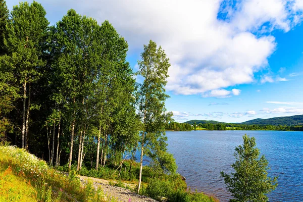 Lake Water Glistens Sun Sunrise Shore Overgrown Grass Wildflowers Warm — Stock Photo, Image