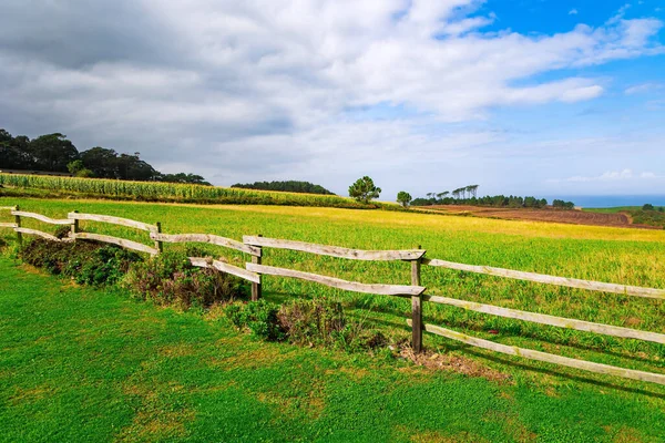 Green Rural Fields Fenced Wooden Fences Romantic Trip Spain Asturias — Stock Photo, Image