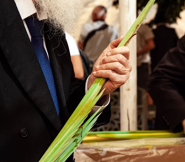 Sukkot Yahudi Halkının Önemli Bayramlarından Biridir Sukkot Buyruğu Dört Bitkiden — Stok fotoğraf