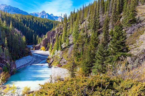 Rocky Mountains Van Canada Ondiepe Bergstroom Met Gesmolten Gletsjerwater Prachtige — Stockfoto