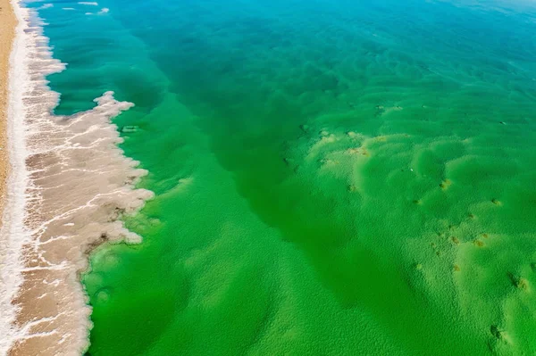 Magia Del Mar Muerto Agua Verde Clara Del Mar Salado — Foto de Stock