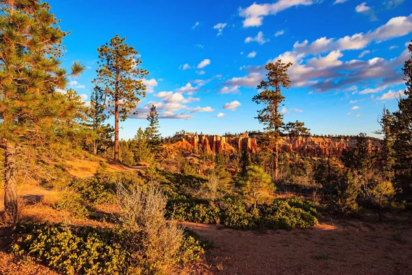 Bryce Canyon Estados Unidos Hoodoos Que Parecen Espigas Apuntando Hacia —  Fotos de Stock