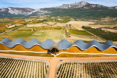 Bodegas Ysios 'un mimarisi çevresindeki güzel manzarayla güzel bir şekilde harmanlanır. Bodegas Ysios şaraphanesi ve sıra sıra üzüm bağları. Laguardia, İspanya. Kuş bakışı.. 