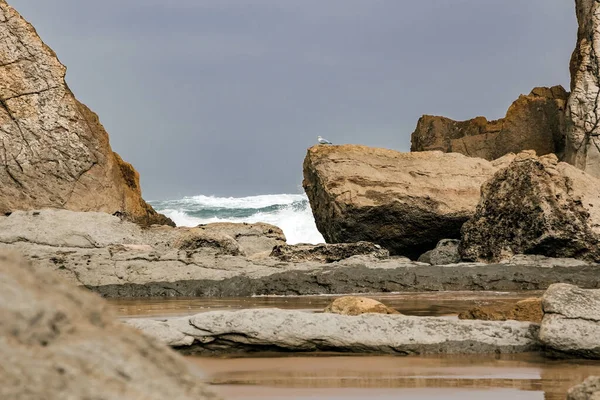 Kantabrien Spanien Stranden Playa Arnia Pittoreska Geologiska Formationer Förvåna Turister — Stockfoto
