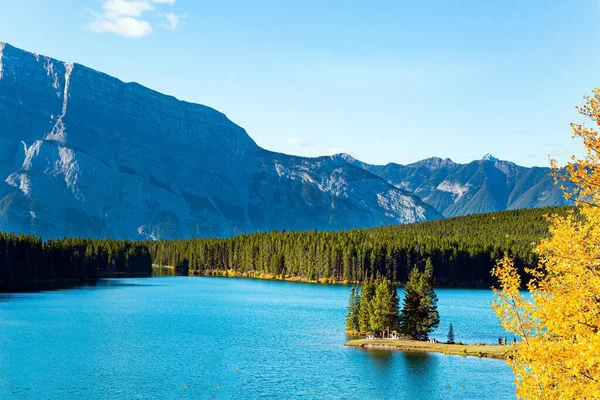 海岸沖の小さな絵の島は松の木で生い茂っている 巨大な氷河湖は太陽を反映します カナダへの旅行 有名なロッキー山脈 2つのジャック湖 — ストック写真