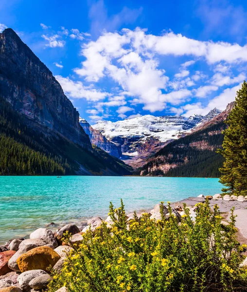 カナダのロッキー山脈のバンフ公園の氷河湖ルイーズ ペブルレイク堤防 湖には紺碧の水が森や山に囲まれています 生態学的 積極的かつ写真観光の概念 — ストック写真