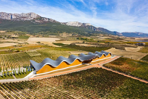 Madártávlatból Bodegas Ysios Borászat Szőlőültetvények Sorai Laguardia Spanyolország Hihetetlenül Gyönyörű Stock Fotó