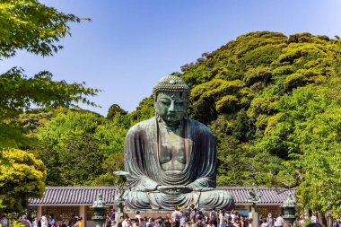 KAMAKURA, JAPONYA - 2 Mayıs 2023: Üzgün Buda Amida, Kamakura şehrinin bir sembolü haline geldi. Dev Buda 'nın bronz heykeli. Buda, Saf Topraklara giden yolu gösterir..