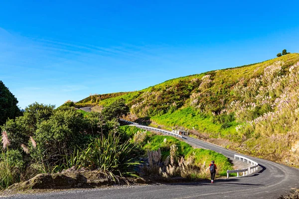 蜿蜒的路通往海滩 塔拉纳基北部的太平洋海岸到地球尽头的旅程 新西兰的富丽堂皇 — 图库照片