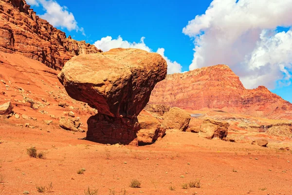 Natursköna Navajo Red Sandstone Cliffs Den Historiska Lees Ferry Colorado — Stockfoto