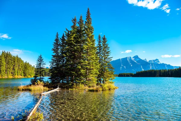 海岸沖の小さな絵の島は松の木で生い茂っている 有名なロッキー山脈 2つのジャック湖 巨大な氷河湖は太陽と雲を反映します カナダへの旅行 — ストック写真