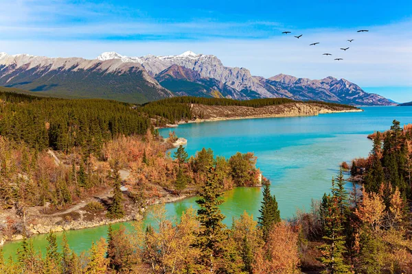 Kanadischer Herbst Künstlichen Abraham Lake Malerische Herbstlandschaft Herrliche Türkisfarbene Farbe — Stockfoto