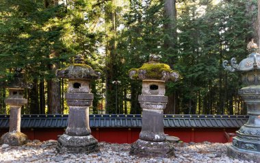 Görkemli çam ormanı ve antik tapınak. Japonya. Nikko Tosho-gu Nikko 'da bir Shinto tapınağı. 1617 'de inşa edilmiş. Çift sıra taş heykeller - fenerler. 