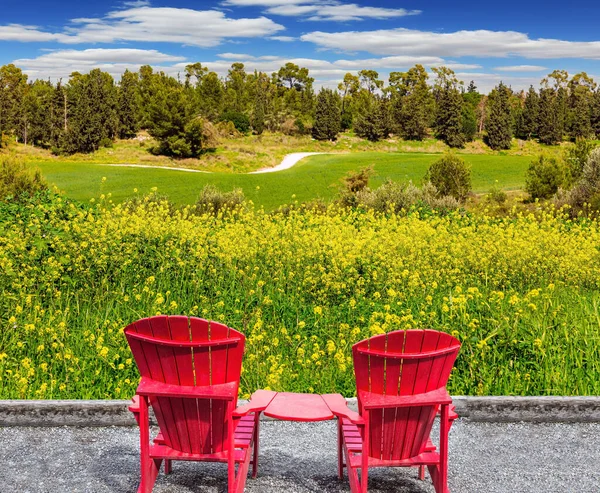 Dwa Czerwone Krzesła Peronie Piękne Żółte Kwiaty Rośliny Miodu Colza — Zdjęcie stockowe