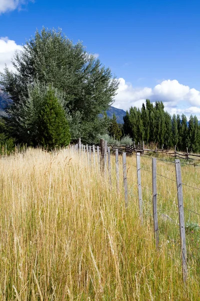 Kırsal kesimde hoş bir yer. 40 numaralı otobanın çevresindeki tarlalar ve dağlar. Yol resimli manzaraların içinden geçiyor. Arjantin. Güney Amerika 'ya seyahat. 