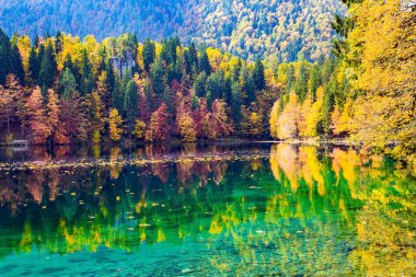 Sonbahar ormanlarının parlak renkleri gölün buzlu suyuna yansıyor. Dağlar sabah sisiyle kaplıydı. İtalya 'daki Iago Fusine tablosu. Gün doğumu.