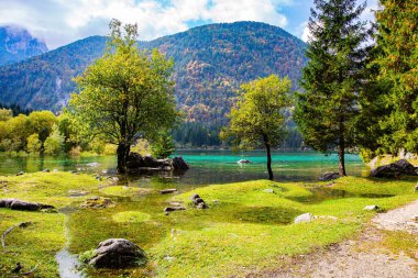 Shallow lake Fusine in the Dolomites. Northern Italy. The smooth surface of the water reflects the surrounding forests and mountains. Mountains covered in morning mist    clipart